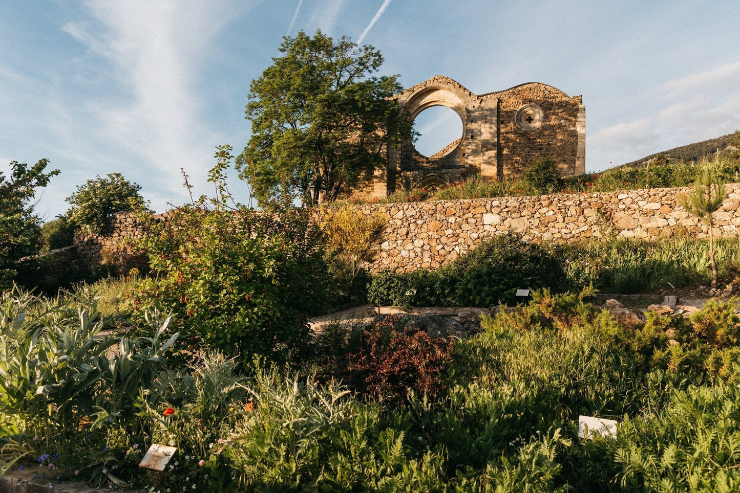 ÁBBATTE un jardín tintóreo Beruete